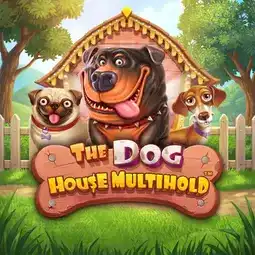 The Dog House Multihold game at Dream Vegas Casino for United Kingdom players